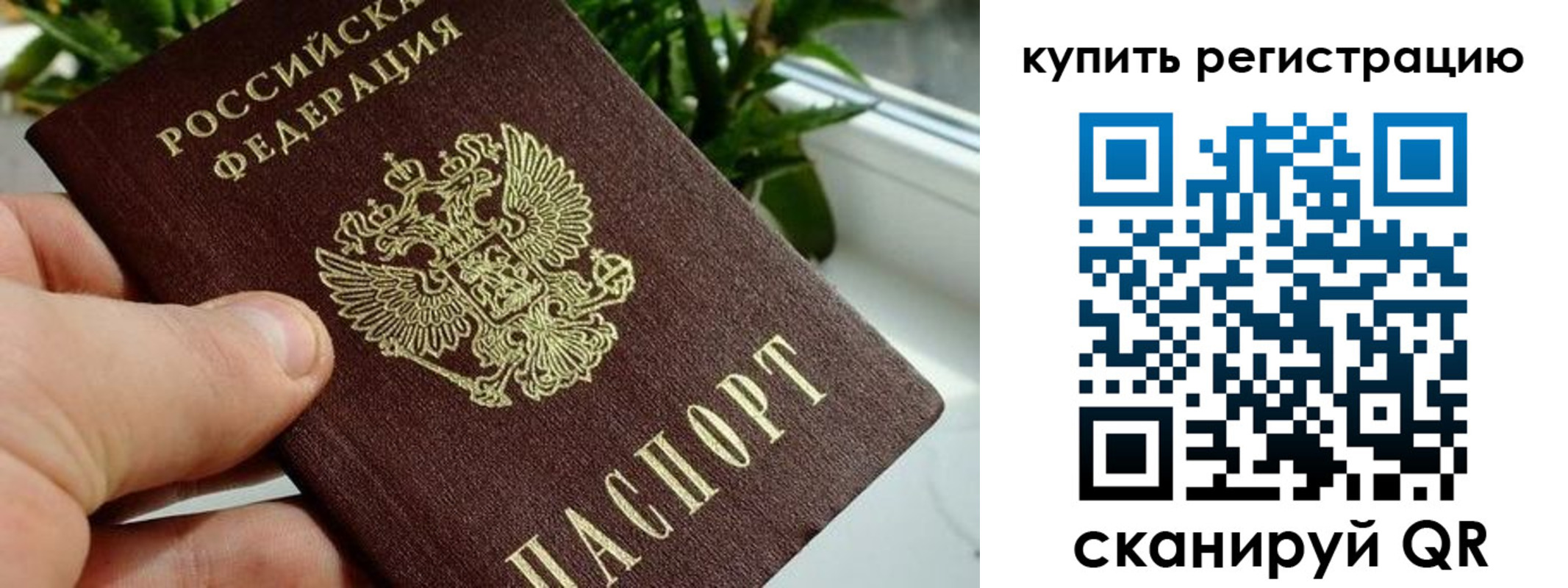 прописка гарантия в Рязани